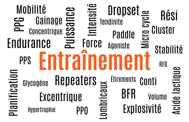 Pleins de mos liés à l'entraînement en escalade pour imager la page de glossaire